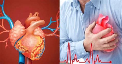 हार्ट की नसें ब्लॉकदिख रहे ये लक्षण तो हो जाएं सतर्क न करें नजर