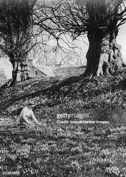 borwick hall   premium high res pictures getty images