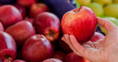 Визначення ГМО в харчових продуктах методом ПЛР - ТОВ «Бiокор ...