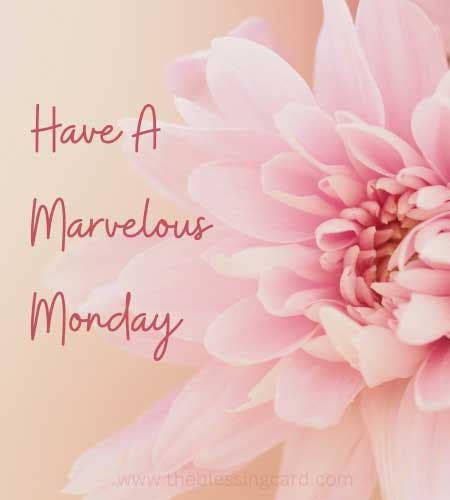 50 Good Morning Happy Monday Images Blessings Cards Greetings