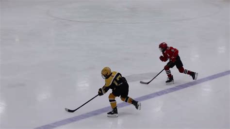 Minor Hockey U A Nswc Winterhawks Vs Bwc Bruins Dec