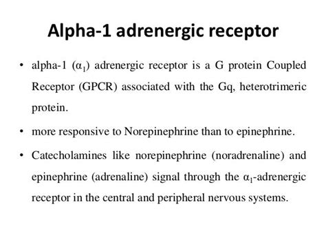 Alpha 1 Adrenergic Receptor