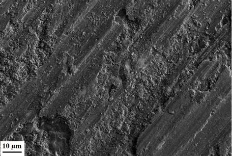 Fesem Image Of Al Alloy Vol Of Coarse M Sic Revealing