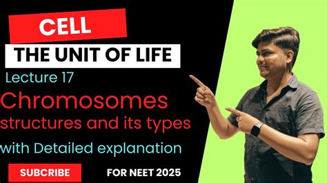 Lecture 17 Chromosomes Its Structure And Types Of Chromosomesneet2025 Neetbiology Chromosome