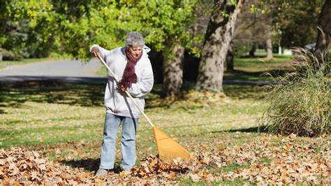 6 Tips For Cleaning Up Fall Leaves In Your Yard Sixty And Me