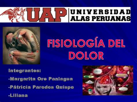 Ppt Diapositiva De Fisiologia Del Dolor Ricardo Javier Cespedes Saromo