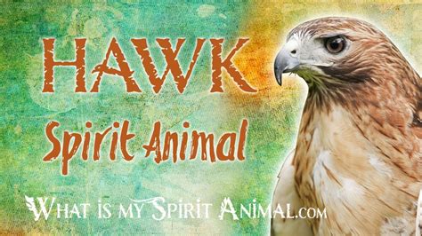 Hawk Spirit Animal Hawk Totem And Power Animal Hawk Symbolism