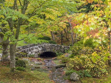 Japanese Garden, Seattle autumn colors on Behance