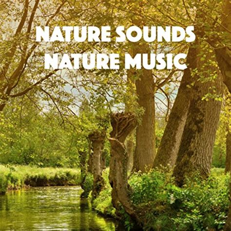 Play Nature Sounds Nature Music By Relajacion Del Mar Asian Zen