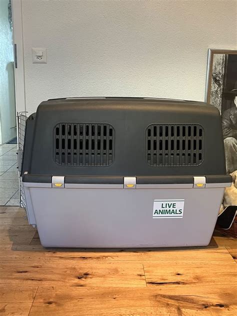 Hundebox Gr Kaufen Auf Ricardo