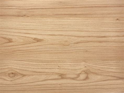 703 Elm Wood Grain Stock Photos Free And Royalty Free Stock Photos From