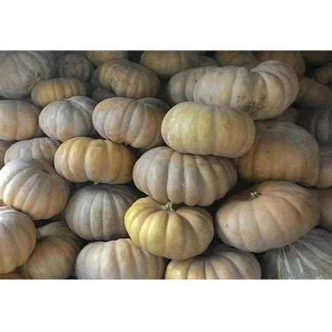 Pumpkin In Tiruppur Latest Price And Mandi Rates From Dealers In Tiruppur