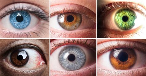 This Is What Your Eye Color Reveals About You David Avocado Wolfe