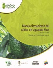 Cartilla Aguacate Ica Final Pdf Manejo Fitosanitario Del Cultivo Del