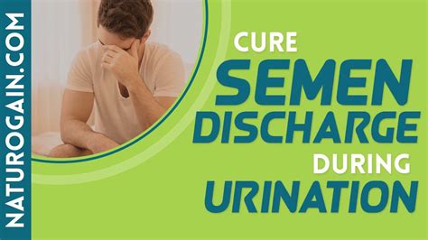 How To Cure Semen Discharge During Urination Best Natural Treatment