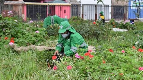 Mantenimiento Á reas Verdes Parque Nicolini en Urb Zárate Noticias