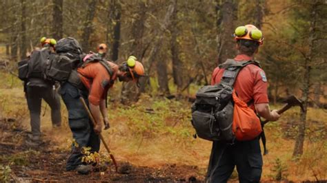 Bc Wildfire Service Battling New Blaze Near Port Alberni