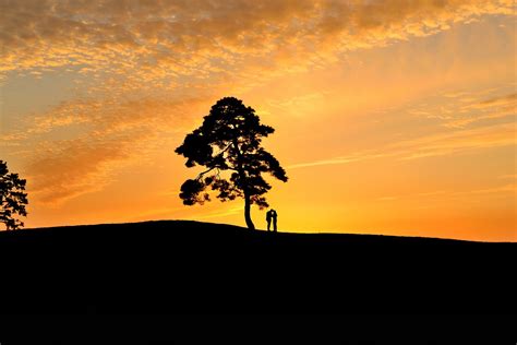 Sunset Sunrise Silhouette Orange - Free photo on Pixabay - Pixabay