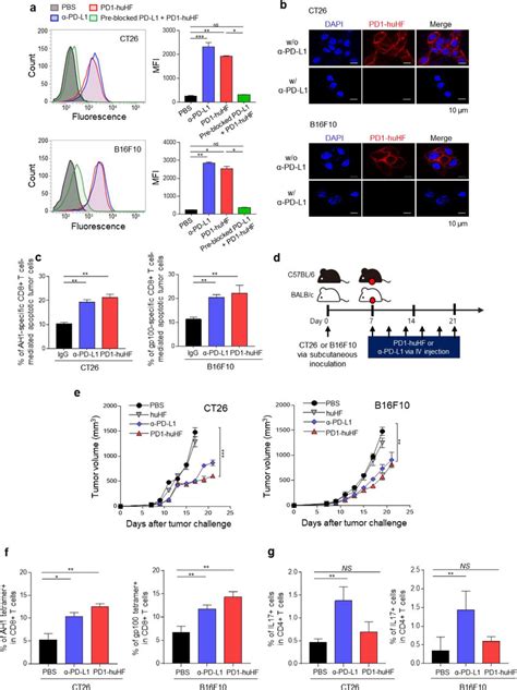 In Vitro PD L1 Blocking By And In Vivo Tumor And Th17 Suppressing