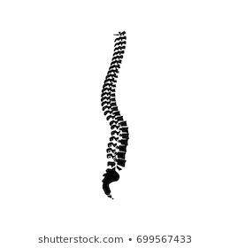 Spinal Vertebral Column Spine Backbone Icon Stock Vector Royalty Free