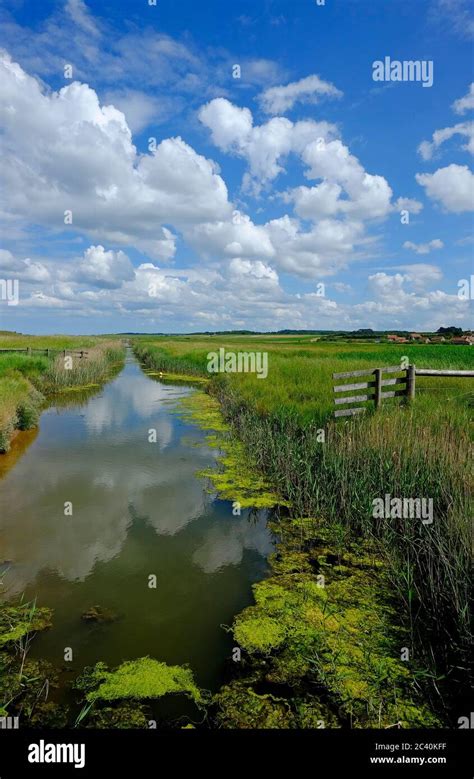 Saltmarsh At Salthouse North Norfolk England Stock Photo Alamy