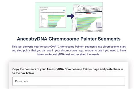 New Ancestrydna Chromosome Painter Segments Dna Painter Blog