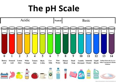 Ph Scale Chart Print PDF Download Chemistry for Classroom Acid Alkaline Ph Chart - Etsy