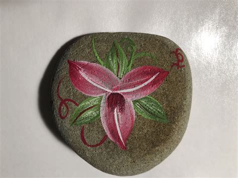 Pin By Ginnie Thompson On My Painted Rocks Cactus Flower Painted