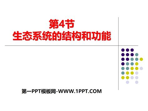 《生态系统的结构和功能》ppt教学课件 浙教版九年级科学下册