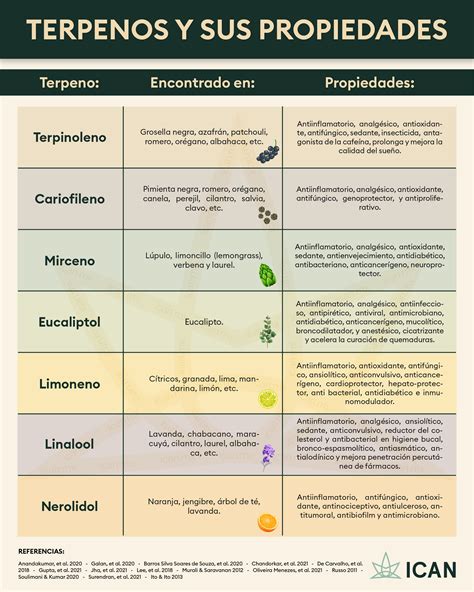 Los Terpenos Y Sus Propiedades — Ican