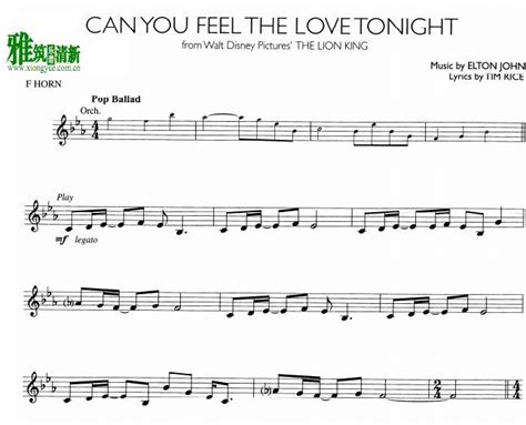 Can You Feel The Love Tonight 圆号谱 找教案个人博客