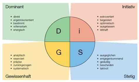 DiSGModell Steiner Consulting