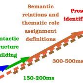 Improved Sequence Of Neurocognitive Model Of Auditory Sentence