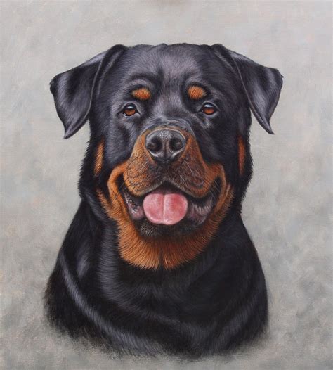 Rottweiler Painting at PaintingValley.com | Explore collection of ...