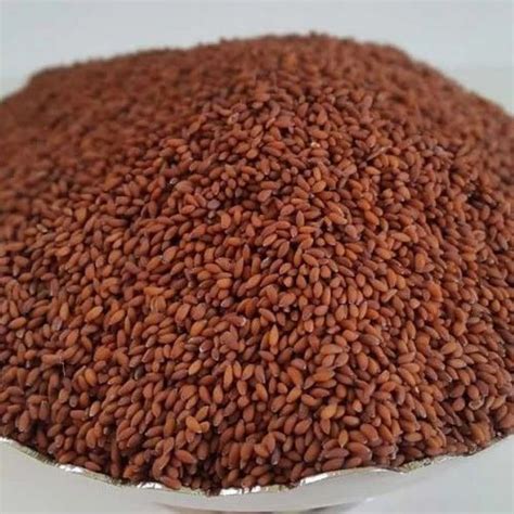 Garden Cress Seeds In Telugu Garden Cress Seed Kheer Divinetaste Asfeed Yoga