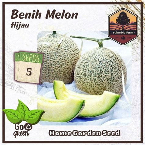 Jual Biji Benih Melon Hijau Bibit Buah Unggul Shopee Indonesia