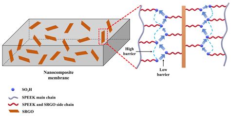 Ijms Free Full Text Polymer Electrolyte Membranes Containing