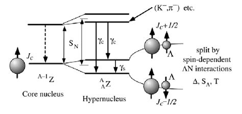 Schematic Low Lying Level Structure And γ Ray Transitions For