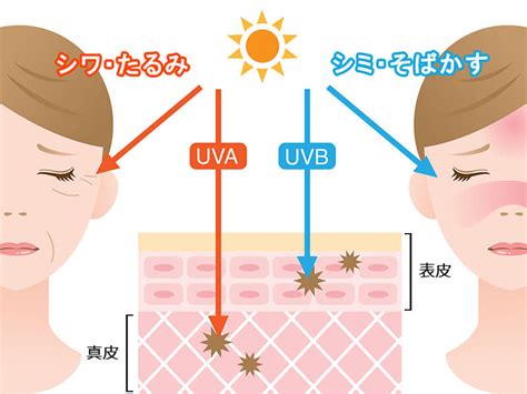 日焼け止めの正しい選び方｜肌老化を食い止めるには？｜紫外線・spf・paを徹底解説！【ビューティニュース】｜美容メディアvoce（ヴォーチェ）