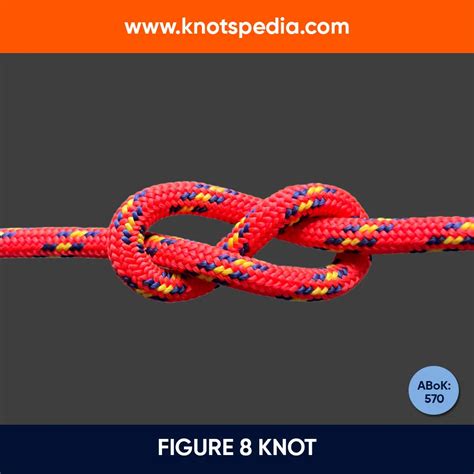 Stopper Knots Learn How To Tie Stopper Knots With Knotspedia