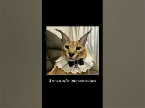 Шлёпа и его мама!#floppa #пельмени #флоппа #шлепа #шлепскаяImpirean ...