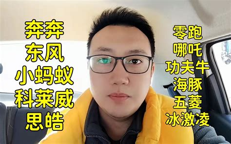 8万以内新能源车怎么选？分享十款常见家庭代步新能源车 哔哩哔哩 Bilibili