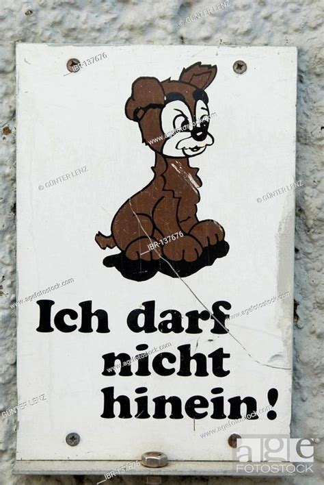 sign  dogs stock photo picture  rights managed image pic ibr