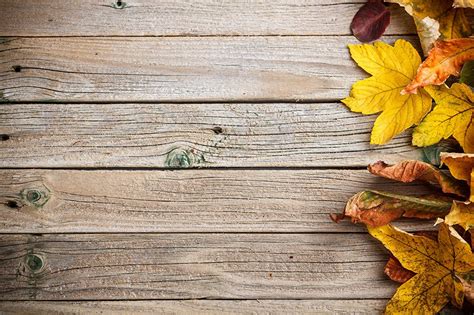 Wooden Autumn Wallpapers Wallpaper Cave