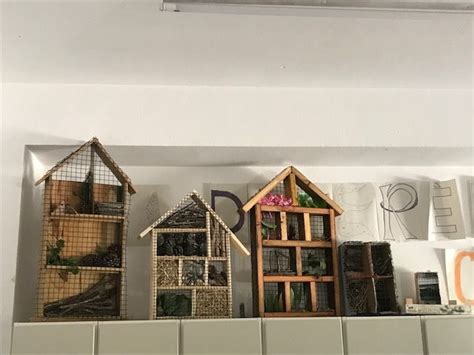 Mini Projecte Construïm Un Hotel Dinsectes Ins Pius Font I Quer