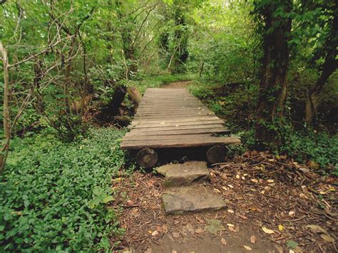 Wooden Log Bridge Photograph by Tiffany Leggett | Fine Art America