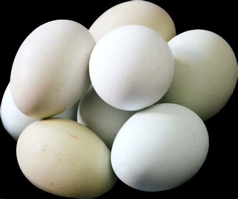 Download Assorted Chicken Eggs Black Background