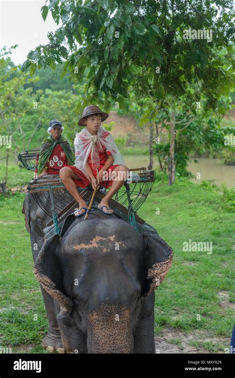 Elephant sanctuary, Kanchanaburi province, Thailand Stock Photo - Alamy