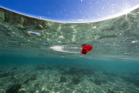 Coca Cola Produces 110 Billion Single Use Plastic Bottles A Year Iflscience