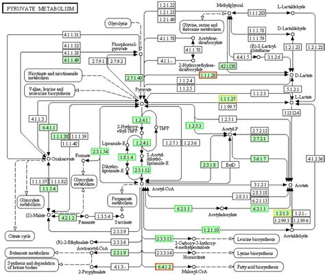 Frontiers Transcriptomic Analysis Of Staphylococcus Aureus Under The